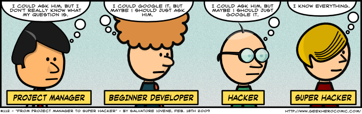 Geek Hero Comic – A webcomic for geeks: From Project Manager to Super Hacker